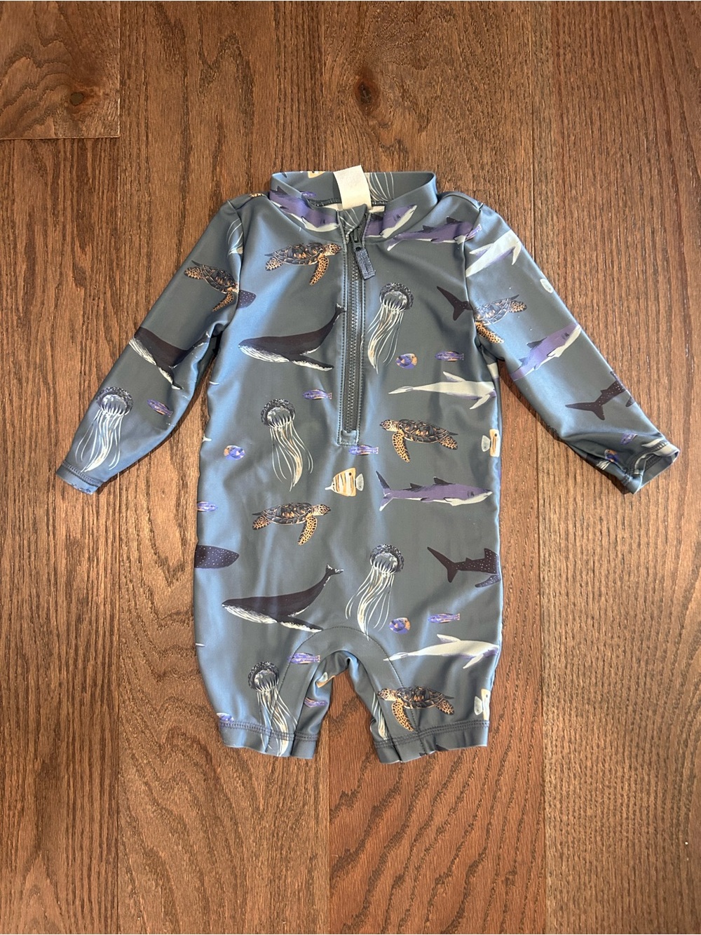 Little Planet by Carter's Size 9 month Baby Boy's Swimsuit